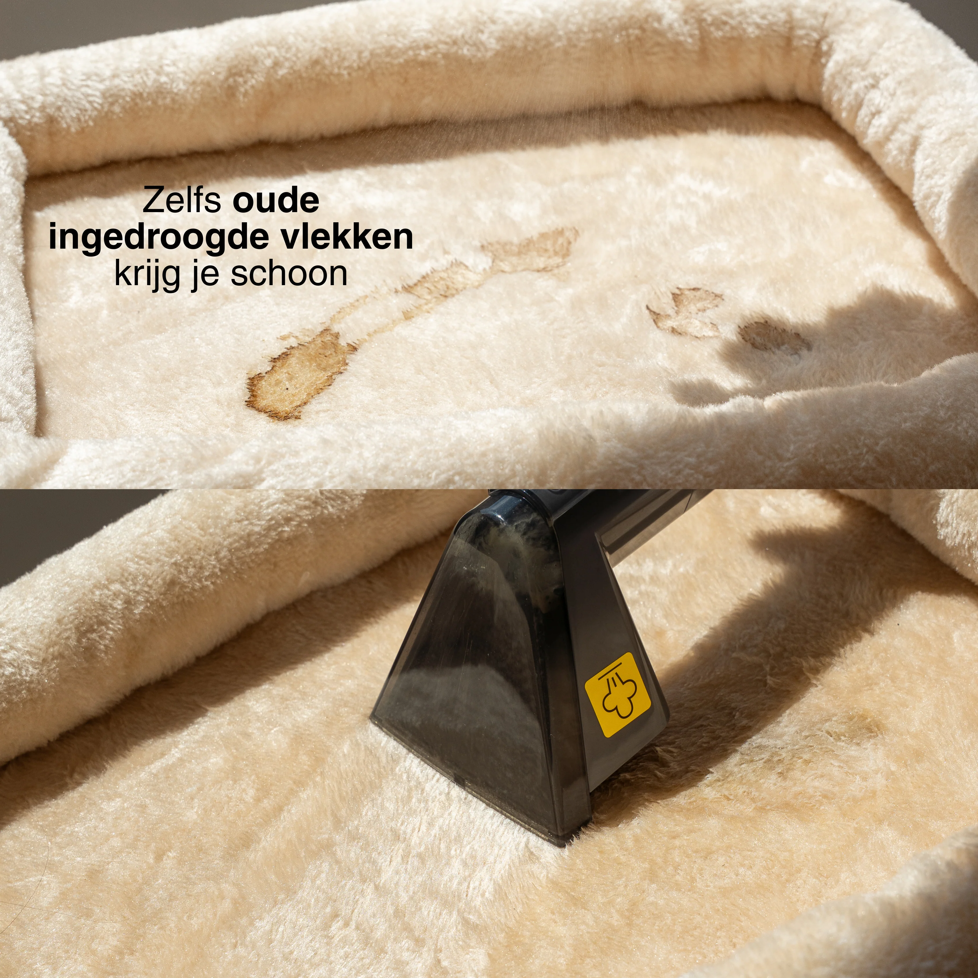 Achaté Vlekkenreiniger PRO met Stoom & Heet water - Image 5